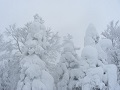 Yamagata
